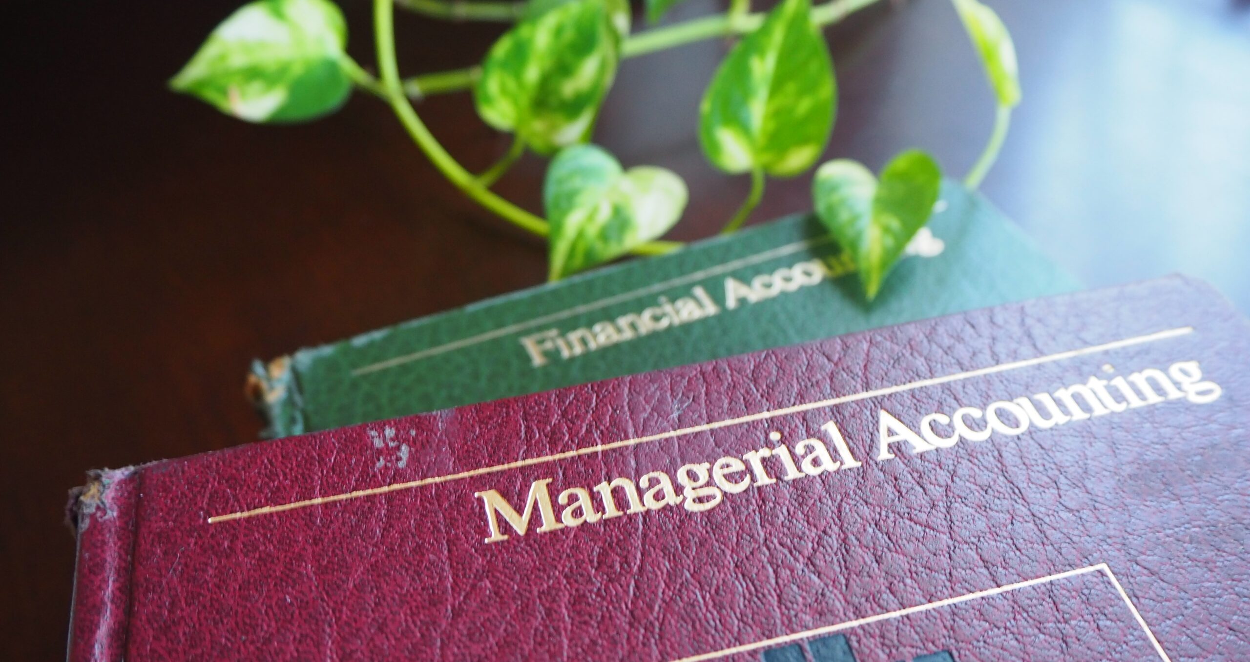 Benefits of having a bank account dedicated to freelance work